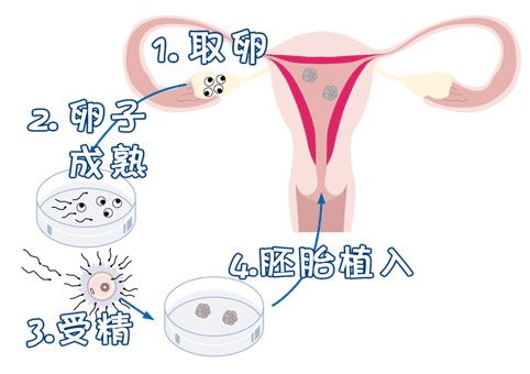 苏主任